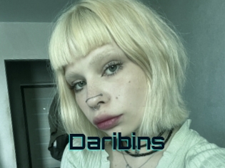 Daribins