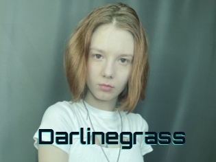 Darlinegrass