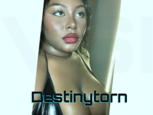 Destinytorn