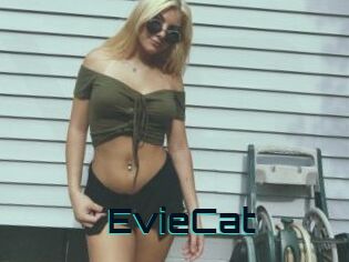 EvieCat