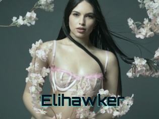 Elihawker