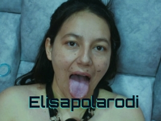 Elisapolarodi