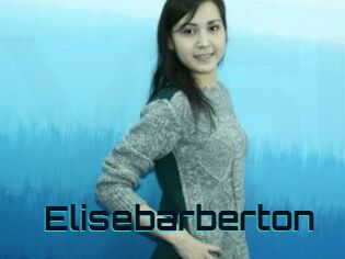 Elisebarberton