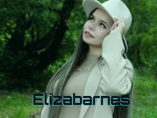 Elizabarnes