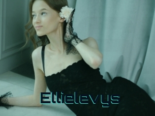 Ellielevys