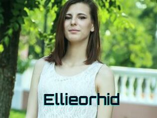 Ellieorhid