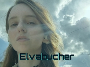 Elvabucher