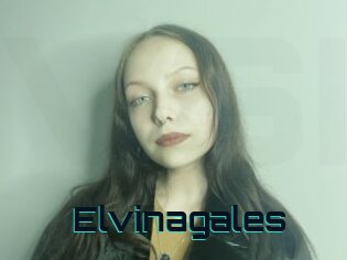 Elvinagales