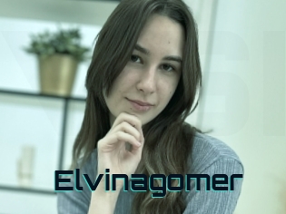 Elvinagomer