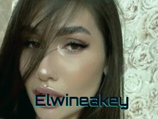 Elwineakey