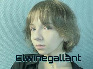 Elwinegallant