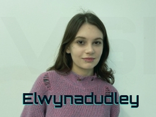 Elwynadudley