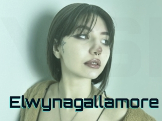 Elwynagallamore