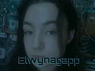 Elwynagapp