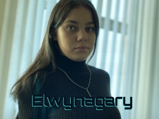 Elwynagary