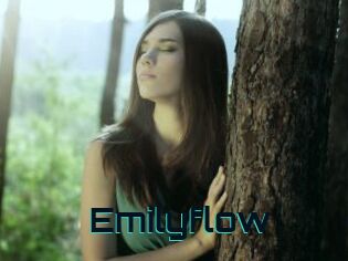 Emilyflow