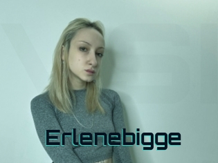 Erlenebigge