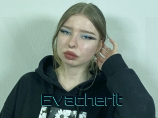 Evacherit