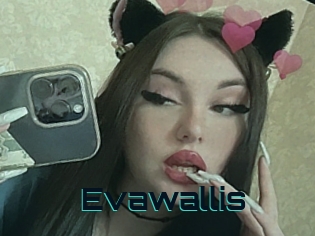 Evawallis