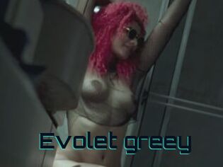 Evolet_greey