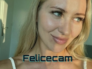 Felicecam