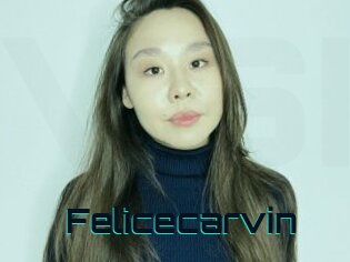 Felicecarvin