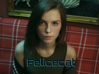 Felicecat