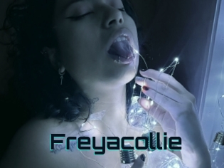 Freyacollie