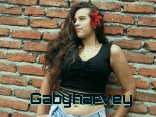 Gabyharvey