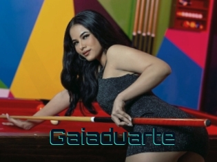 Gaiaduarte