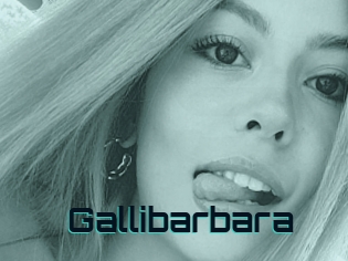 Gallibarbara