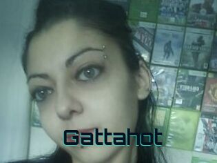 Gattahot