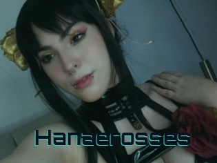 Hanaerosses