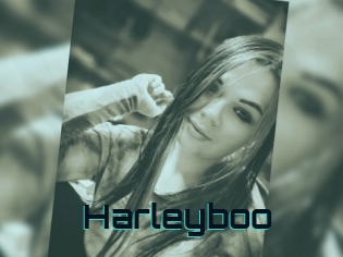 Harleyboo