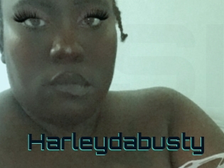 Harleydabusty