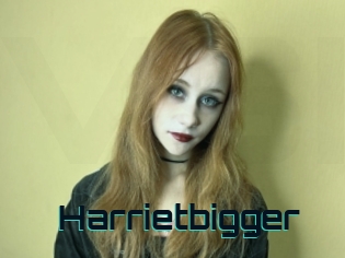 Harrietbigger