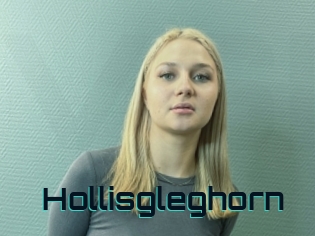 Hollisgleghorn