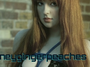 Honeygingerpeaches