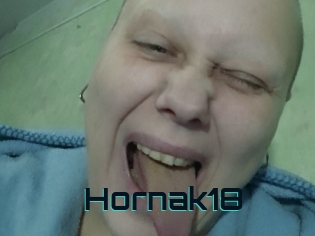 Hornak18