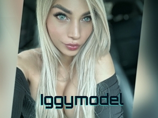 Iggymodel