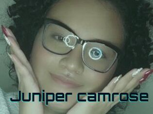 Juniper_camrose