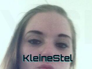 KleineStel