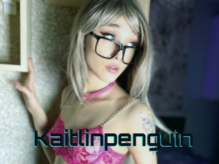 Kaitlinpenguin