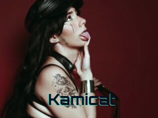 Kamicat