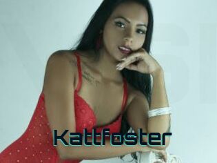 Kattfoster