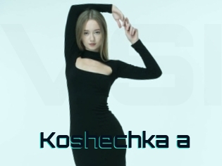 Koshechka_a