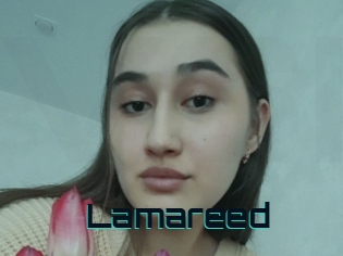 Lamareed