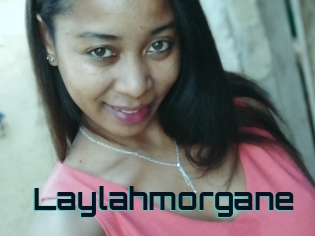 Laylahmorgane