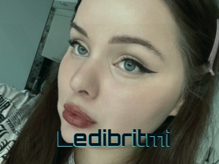 Ledibritmi