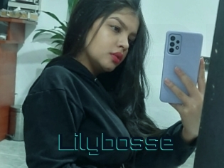 Lilybosse